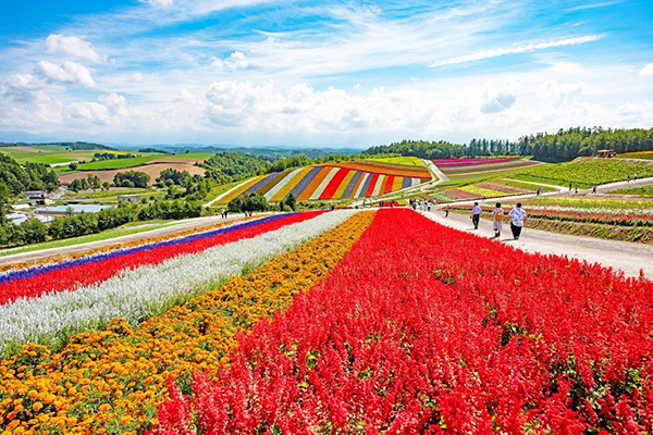 Japonya’da görülmesi gereken yerlerden Hokkaido